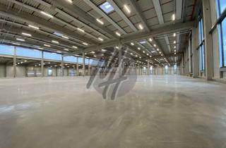 Büro zu mieten in 64807 Dieburg, KEINE PROVISION ✓ RAMPE + EBEN ✓ Lager-/Logistik (7.000 m²) & Büro (500 - 1.000 m²)