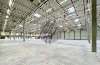 Büro zu mieten in 63500 Seligenstadt, NEUBAU ✓ 24/7 ✓ RAMPE + EBEN ✓ Lager-/Logistik (4.000 m²) & Büro (500 m²)