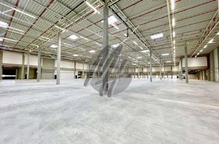 Büro zu mieten in 63526 Erlensee, NEUBAU ✓ 24/7 ✓ RAMPE + EBEN ✓ Lager-/Logistik (4.000 m²) & Büro (500 m²)