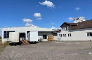 Büro zu mieten in Lauter Str, 96486 Lautertal, Hallen- Lagerfläche oder Produktion ab 100 qm, ab 3,50 €/qm ggf. mit Büro