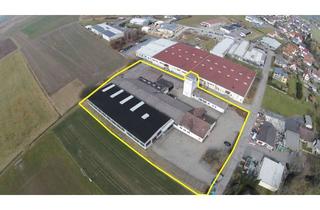 Büro zu mieten in Lauter Str, 96486 Lautertal, Hallen- Lagerfläche oder Produktion ab 100 qm, ab 3,50 €/qm ggf. mit Büro