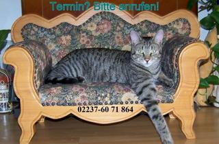 Grundstück zu kaufen in Taunusstr. 24, 50169 Kerpen, Heute wild – morgen lebenswert.