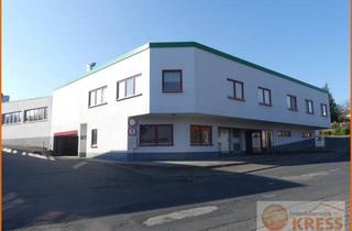 Gewerbeimmobilie kaufen in 36391 Sinntal, Gewerbegrundstück mit Hallen- und Produktionsräumen, sowie Büroflächen Sinntal-Oberzell/Ziegelhütte