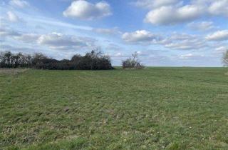 Grundstück zu kaufen in 04808 Wurzen, Bauen Sie Ihr Eigenheim* Kornhain bei Wurzen* Bauerwartungsland* Grüne Lage*