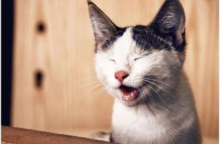 Haus mieten in 59423 Unna, "Flexibel zum Eigenheim: Mietkaufoption für Ihr Traum-Einfamilienhaus"