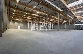 Gewerbeimmobilie mieten in 48282 Emsdetten, Attraktive Lagerhalle im Münsterland | 12m UKB | Rampen | Freiflächen verfügbar | RUHR REAL