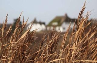 Gewerbeimmobilie kaufen in 25938 Oevenum, Hotelensemble auf Föhr: Drei Objekte, unendliche Möglichkeiten!