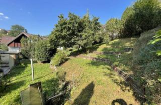 Haus kaufen in 73102 Birenbach, In diesem Garten könnte Ihr Osternest stehen!