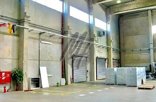 Büro zu mieten in 64347 Griesheim, RAMPE + EBEN ✓ HÖHE 13 m ✓ Lager-/Logistik (4.500 m²) & Büro-/Sozial (500 m²)