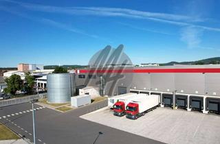 Büro zu mieten in 63329 Egelsbach, KEINE PROVISION ✓ NEUBAU / ERSTBEZUG ✓ Lager (2.000 m²) & Büro (400 m²)