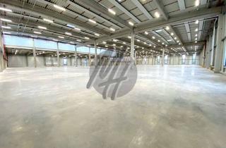Büro zu mieten in 63329 Egelsbach, KEINE PROVISION ✓ NEUBAU / ERSTBEZUG ✓ Lager (6.000 m²) & Büro (1.200 m²)