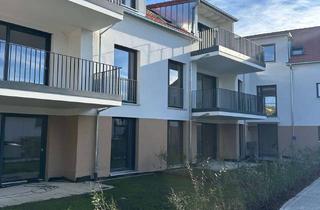 Wohnung kaufen in Honiggasse, 79423 Heitersheim, NEUBAU Heitersheim helle traumhafte 3-Zimmer-DG-Wohnung mit Blick über die Dächer von Heitersheim