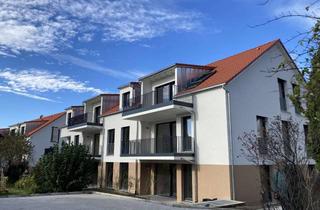 Wohnung kaufen in Honiggasse, 79423 Heitersheim, NEUBAU Heitersheim, Honiggasse 3-Zimmer EG Wohnung mit Garten nach Süden inkl. schöne Einbauküche