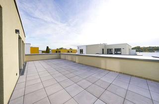 Penthouse mieten in Salinenstraße 4/1, 74177 Bad Friedrichshall, Einzigartiges Wohngefühl im Penthouse! 4-Zi, 2 Bäder und fantastische Dachterrasse *Erstbezug*