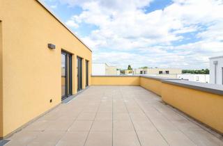 Wohnung mieten in Salinenstraße, 74177 Bad Friedrichshall, Auf der gigantische Dachterrasse die Seele baumeln lassen! Penthous-Wohnung mit 4 Zimmer, 135 m² + E