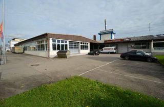 Gewerbeimmobilie mieten in Danziger Str. 8-10, 88250 Weingarten, HELLE HALLE FÜR PRODUKTION-/AUSSTELLUNG-/LAGER MIT KLEINER BÜROEINHEIT IM GEWERBEGEBIET VON WGT.