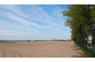 Grundstück zu kaufen in 19073 Zülow, Traumhafte Lage: 8.500 m² Baugrund im Süden von Schwerin