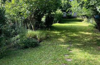 Wohnung kaufen in 67227 Frankenthal, Gemütliche Innenstadtwohnung mit großer Gartenidylle in kleiner Wohneinheit !