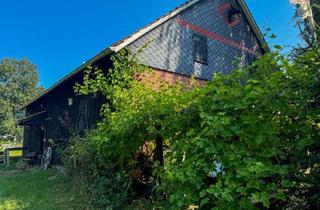 Gewerbeimmobilie kaufen in 31515 Wunstorf, Geräumige Scheune mit Pferdeboxen und ausgebautem Bereich inkl. Bad, Küche und Zimmern