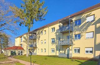 Wohnung mieten in Carl-Von-Ossietzky-Straße 1h, 18507 Grimmen, Barrierefreie 1-Raum-Wohnung in schöner Wohnanlage mit traumhaftem Park und Wintergarten