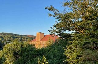 Gewerbeimmobilie kaufen in 01855 Sebnitz, Von der Seidenblumenmanufaktur zum Hotel!