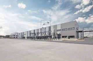 Gewerbeimmobilie mieten in 39171 Sülzetal, Moderne Logistikflächen nahe der A2 bzw. der A14