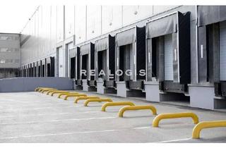 Gewerbeimmobilie mieten in 55294 Bodenheim, Ca. 10.000 qm Logistikflächen | 10x Rampe + 1x ebenerdig | ca. 10,00 m UKB