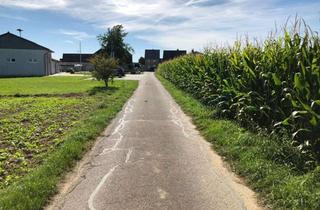 Grundstück zu kaufen in 50189 Elsdorf, Baugrundstück im Grünen mit exzellentem Baupotential!