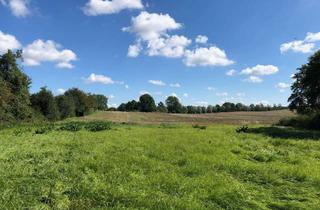 Haus kaufen in 17091 Kriesow, Ruhige und stille Wohnlage!