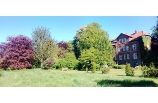 Wohnung mieten in Hauptstraße, 24405 Mohrkirch, Größen-variable, WG geeignete DG-Maisonette in reizvoller Lage, nahe Ostsee und Schlei auf VB!