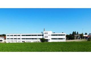 Gewerbeimmobilie kaufen in 72461 Albstadt, Vielseitig nutzbare Gewerbeimmobilie Gewerbepark Büro Lager Logistik IT-Firma Ölheizung