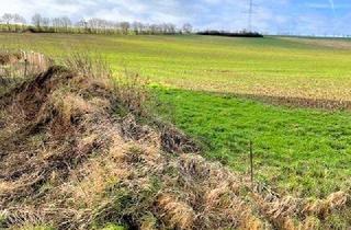 Grundstück zu kaufen in 52385 Nideggen, **Traumhaftes Grundstück in top Lage**