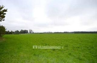 Immobilie kaufen in 86947 Weil, mehrere sonnige Wiesenflächen