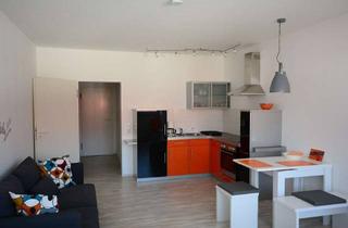 Immobilie mieten in Bohlstr. 25, 72555 Metzingen, Moderne 1 Zi-Wohnung, incl. Stellplatz