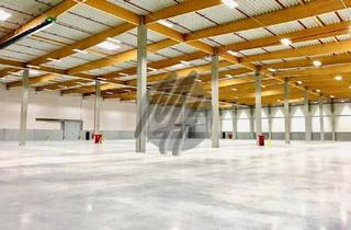 Büro zu mieten in 56235 Ransbach-Baumbach, KEINE PROVISION ✓ SCHNELL VERFÜGBAR ✓ RAMPE + EBEN ✓ Lager (8.000 m²) mit Büro (600 m²)