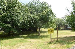 Grundstück zu kaufen in 56412 Hübingen, Ruhig und naturnah wohnen (Nähe Montabaur)