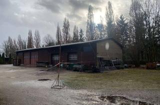 Immobilie kaufen in 03149 Forst, Vielseitig nutzbare Wohn- und Gewerbeimmobilie