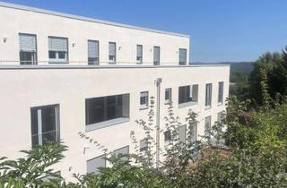 Wohnung mieten in 66953 Pirmasens, Exclusive Neubauwohnungen (4 ZKB) in begehrter Wohnlage in Pirmasens-Horeb!