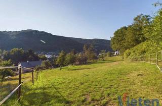 Bauernhaus kaufen in 53937 Schleiden, Wunderschönes, 3707 m² großes Grundstück mit Talblick mit abrisswürdigem Gebäude in Ortsrandlage