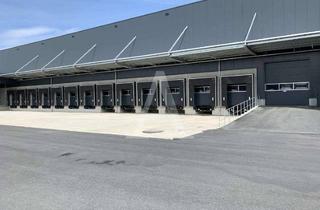 Gewerbeimmobilie mieten in 33175 Bad Lippspringe, *PROVISIONSFREI* NEUBAU NÄHE PADERBORN | RAMPE & EBENERDIG | HÖCHSTER STANDARD | ANGERMANN NRW