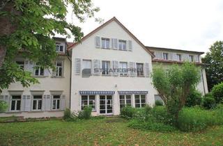 Wohnung kaufen in 69118 Ziegelhausen, Repräsentative Bürofläche mit herrlichem Blick auf den Neckar aus erster Reihe