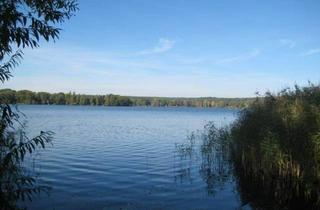 Grundstück zu kaufen in 15755 Teupitz, Letztes großes Grundstück auf der Halbinsel im Teupitzer See