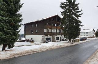 Wohnung kaufen in 94518 Spiegelau, Schöne große 4 Zimmer Wohnung, Spiegelau, Erstbezug nach Sanierung