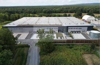 Gewerbeimmobilie mieten in 33189 Schlangen, Fertigstellung in Schlangen | ab sofort bezugsbereit