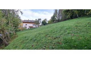 Grundstück zu kaufen in 75323 Bad Wildbad, 2 Grundstücke auf der Sonnenseite Bad Wildbads