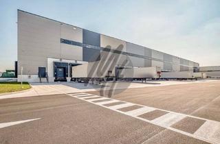 Büro zu mieten in 63801 Kleinostheim, SCHNELL VERFÜGBAR ✓ 24/7 ✓ RAMPE + EBEN ✓ Lager-/Logistik (8.000 m²) & Büro (200-1.000 m²)