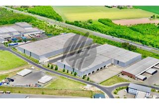 Büro zu mieten in 63739 Aschaffenburg, SCHNELL VERFÜGBAR ✓ 24/7 ✓ RAMPE + EBEN ✓ Lager-/Logistik (23.000 m²) & Büro (700-1.500 m²)