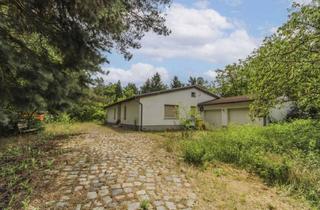 Einfamilienhaus kaufen in Reptener Chaussee, 03226 Vetschau, Einfamilienhaus mit Gestaltungspotenzial und großzügigem Grundstück im Spreewald