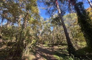 Grundstück zu kaufen in Bahnstraße, 15741 Bestensee, Waldgrundstück in Bestensee