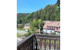 Mehrfamilienhaus kaufen in 95179 Geroldsgrün, Wohnhaus mit Laden, Werkstatt, Garagen usw.!!